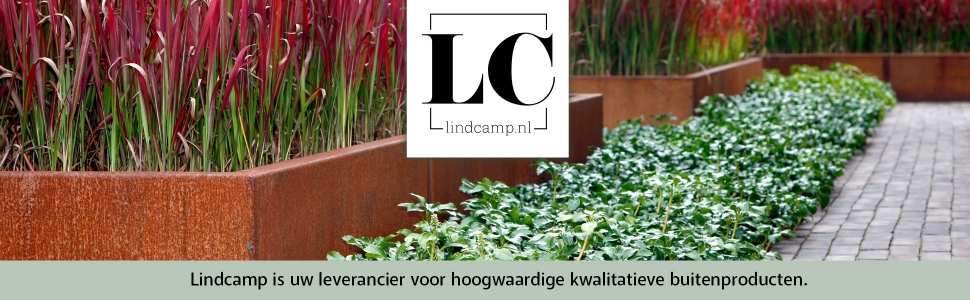 Lindcamp.nl
